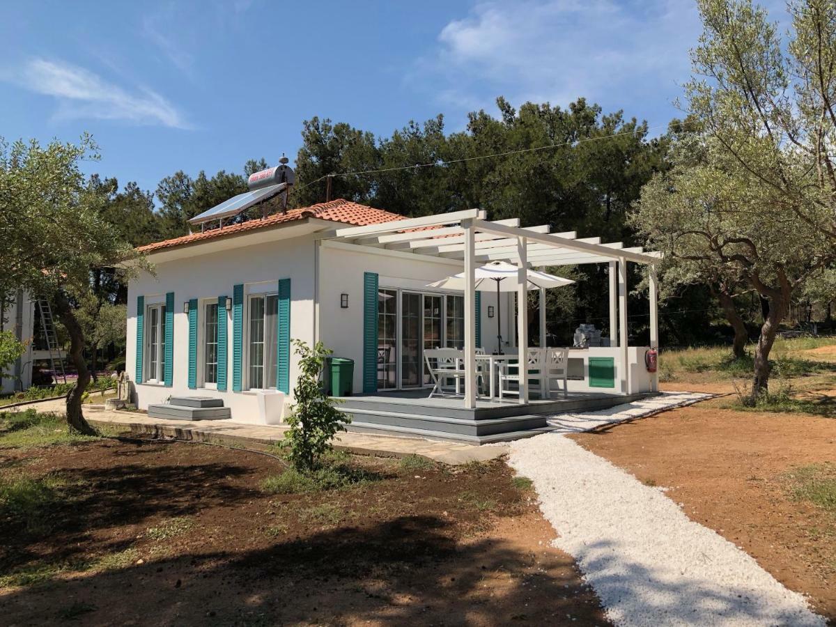 Beach Villa Isidora Potos Buitenkant foto