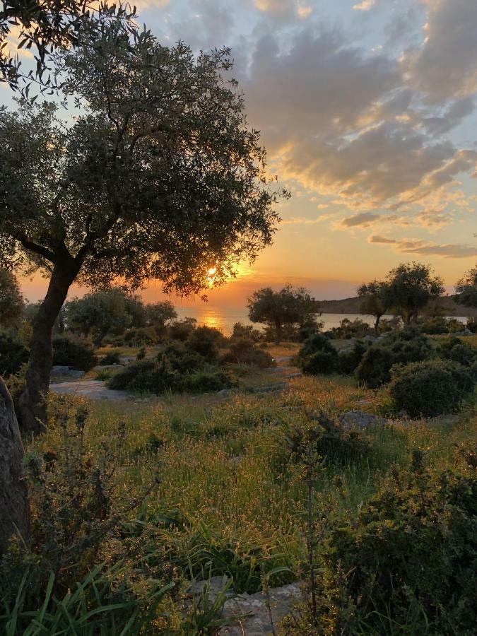 Beach Villa Isidora Potos Buitenkant foto